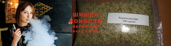гидра Верея