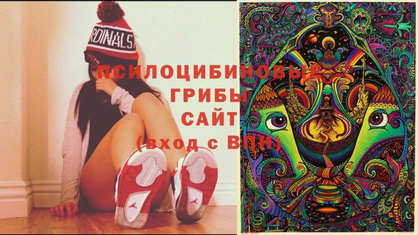 мет Верхний Тагил