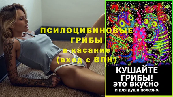 мет Верхний Тагил