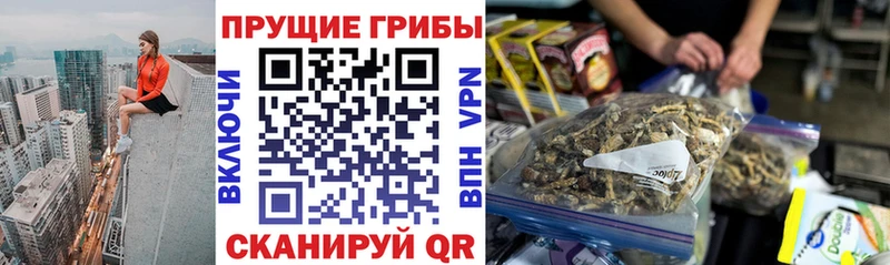 Галлюциногенные грибы GOLDEN TEACHER  купить наркоту  hydra вход  Переславль-Залесский 